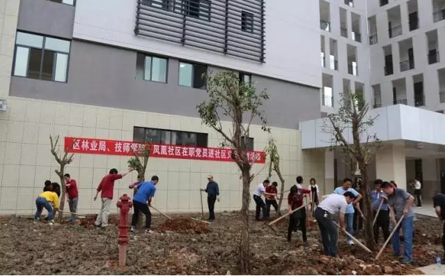 1517038163751051261.png 201604121460441874644.png